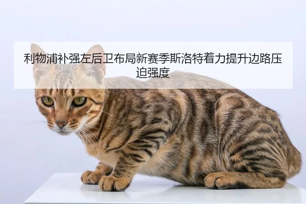 利物浦补强左后卫布局新赛季斯洛特着力提升边路压迫强度